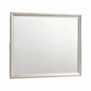 46 Inch Classic Wood Mirror, Beveled Edge, Landscape, Metallic Silver By Casagear Home