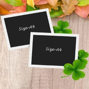 AG Crafts™ A4 Document & Picture Photo Frames (2 - A4 White) (White)