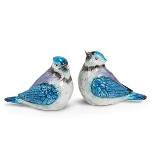 blue jay | salt   pepper