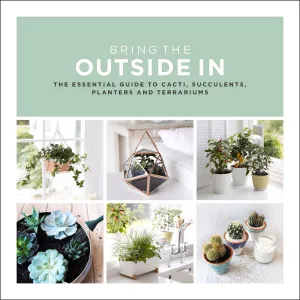 Bring the Outside In