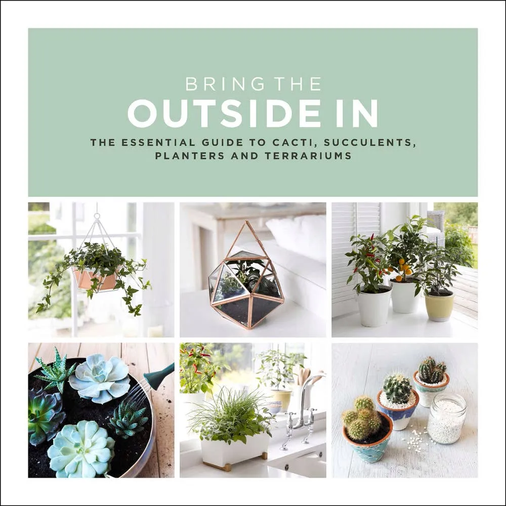 Bring the Outside In