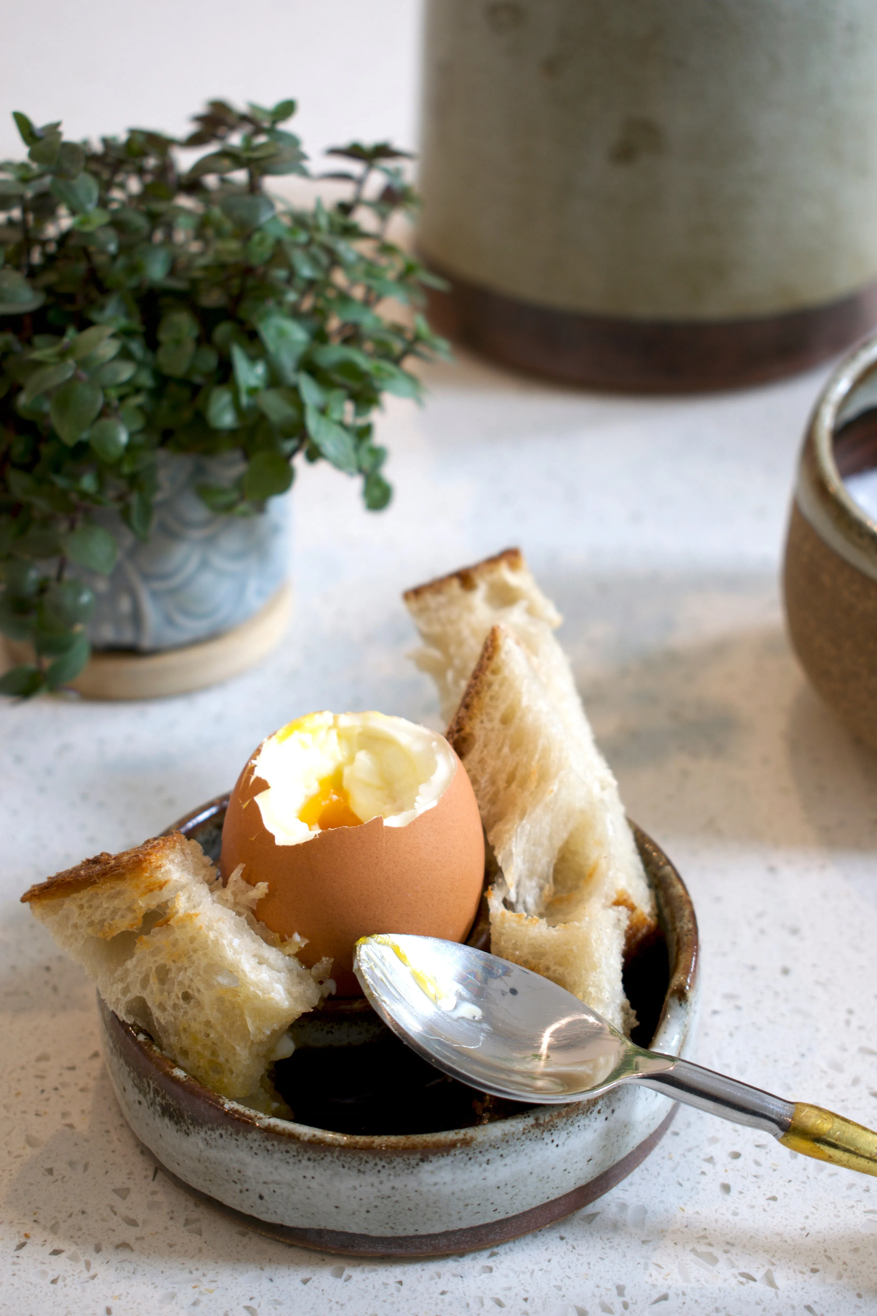Ceramic Speckled Egg Dish