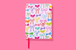 Colorful Bows Notebook