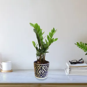 Exotic Green Mughal Floral Art Hand painted Blue Colour Ceramic Planter/ Pot for Live Plants
