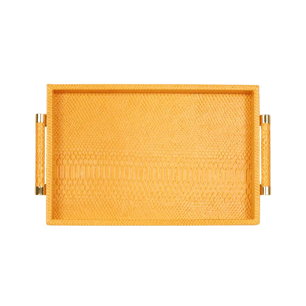Faux Python Tray