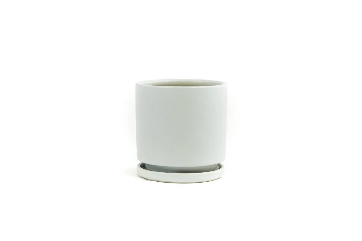 Gemstone Porcelain Planter Pot with Water Saucer 6.25 Inch