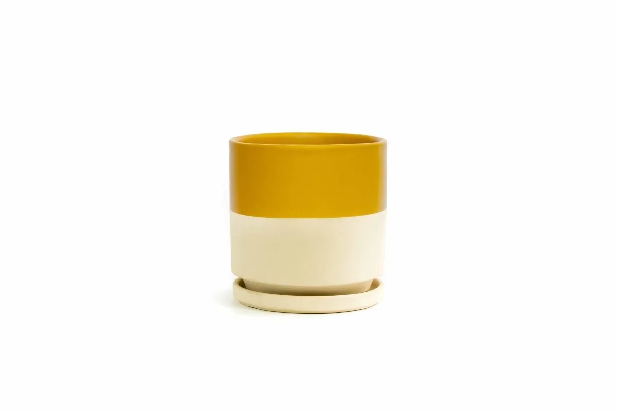 Gemstone Porcelain Planter Pot with Water Saucer 6.25 Inch