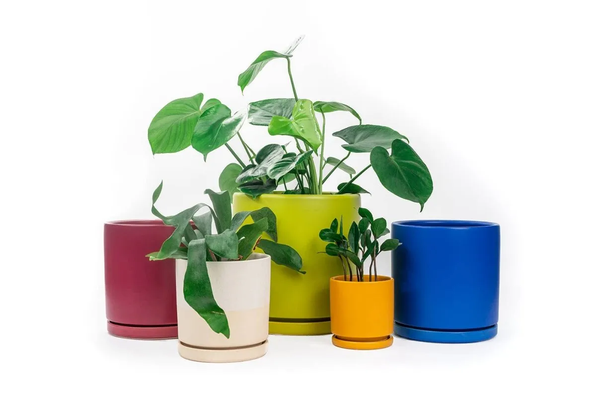 Gemstone Porcelain Planter Pot with Water Saucer 6.25 Inch