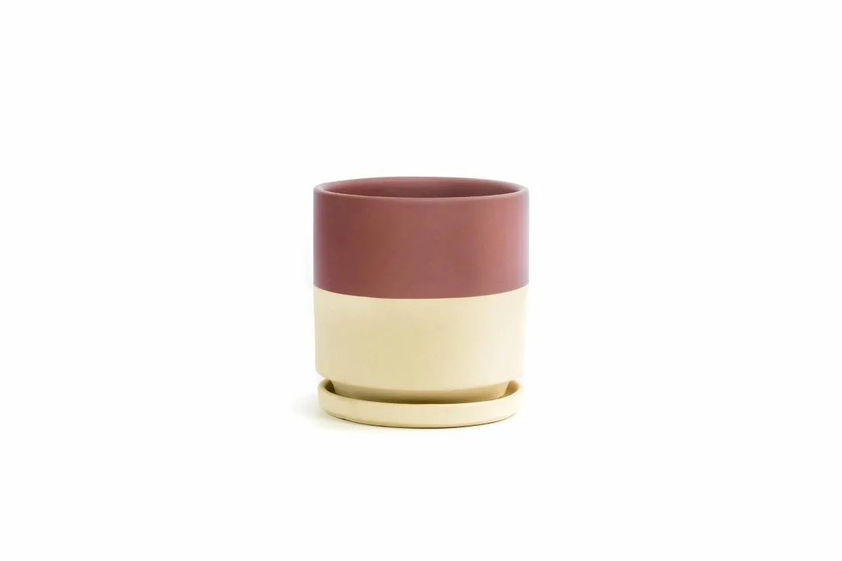 Gemstone Porcelain Planter Pot with Water Saucer 6.25 Inch