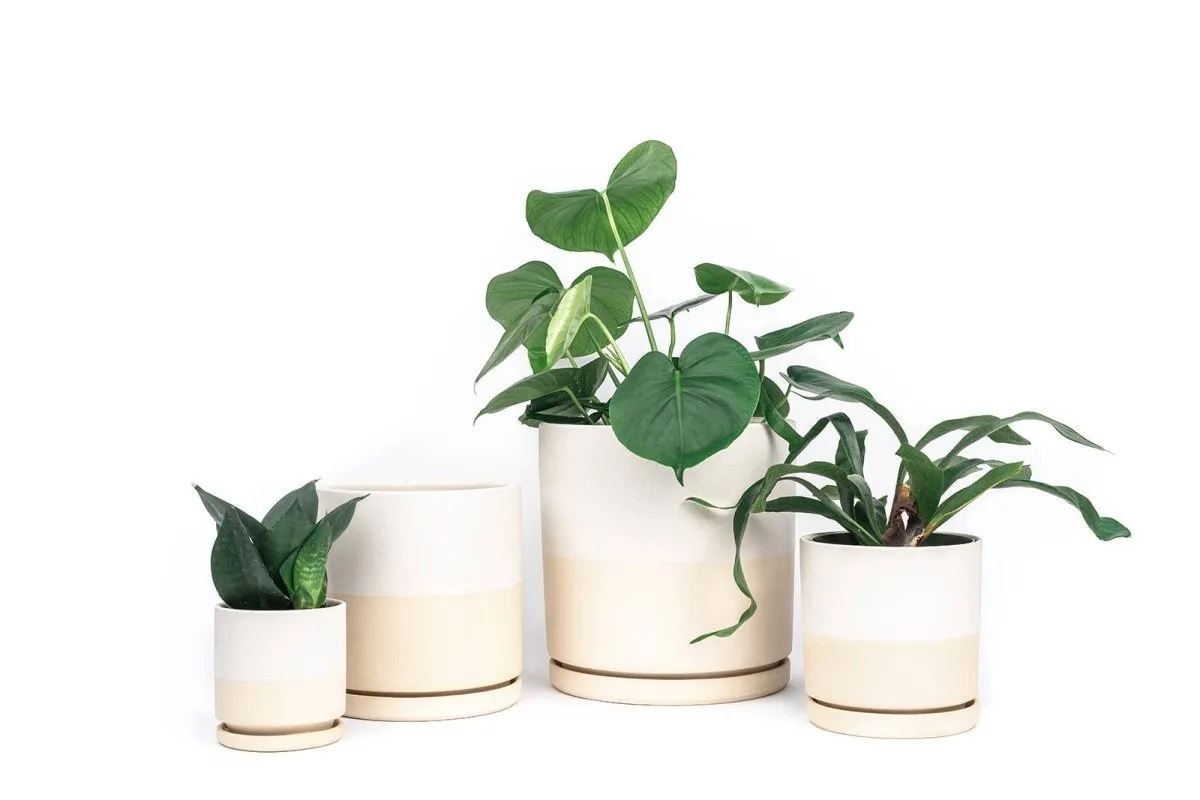 Gemstone Porcelain Planter Pot with Water Saucer 6.25 Inch