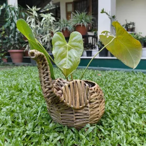 Grass Elephant Basket Planter | Beige