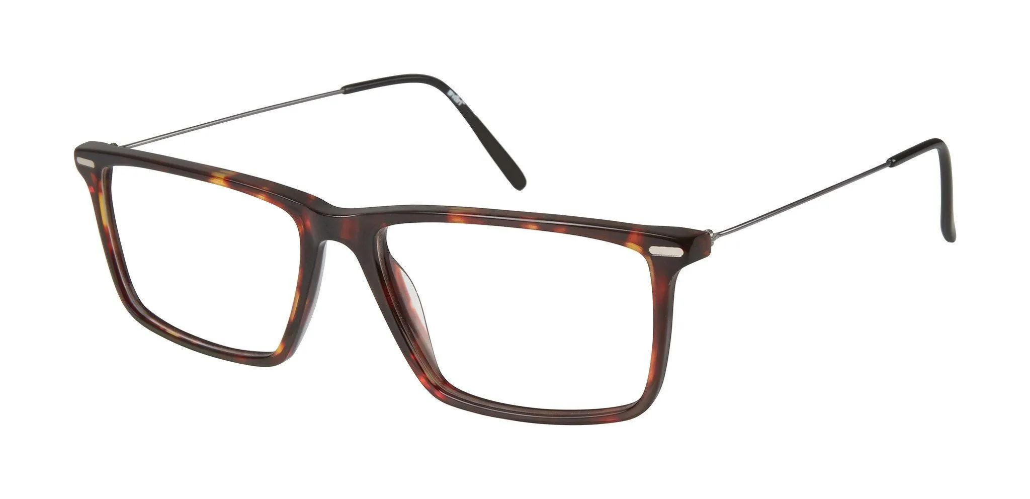 HM-2 New Tort