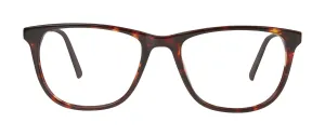HM-3 New Tort (Wholesale)