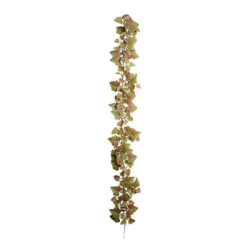 Ivy Vine 6' - Red-Green