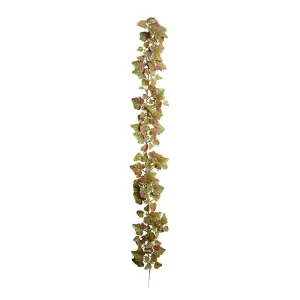 Ivy Vine 6' - Red-Green