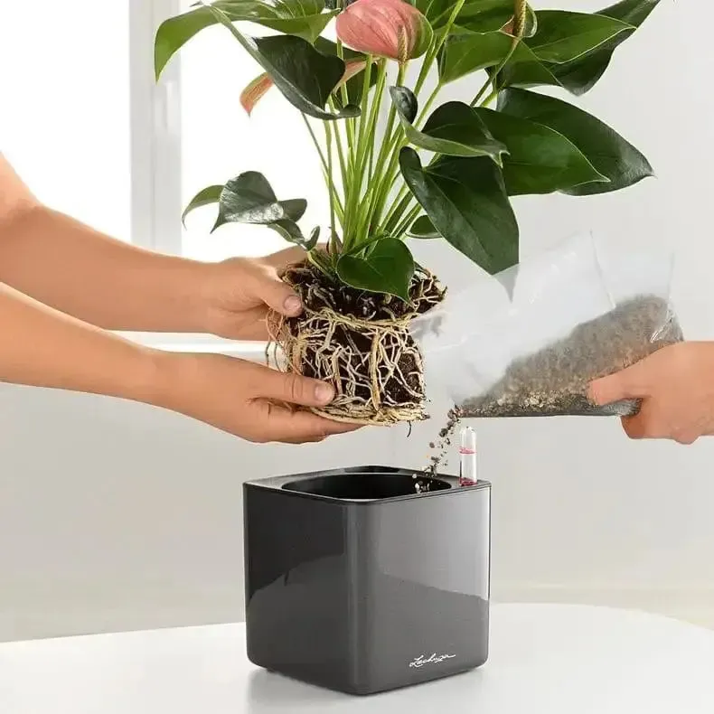 Lechuza Planting Plate For Stick Systems (CUBE, CANTO & YULA)
