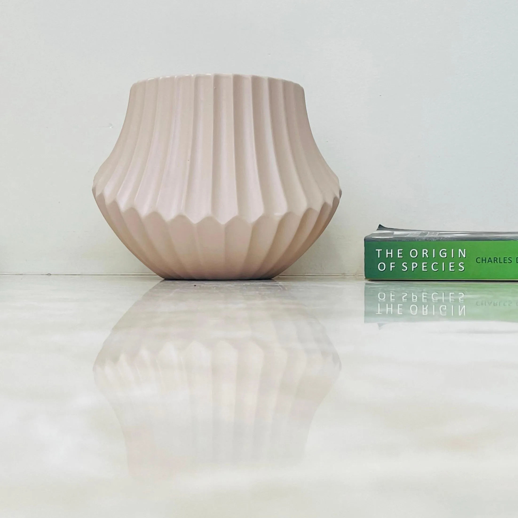 Modern Beige Ribbed Ceramic Plant Pot