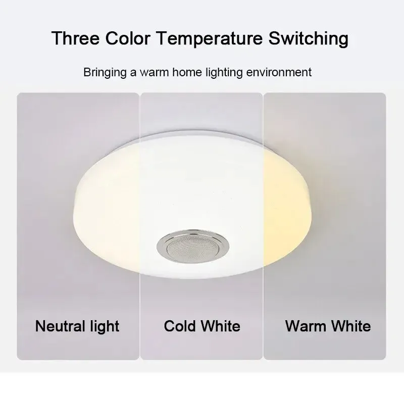 Modern Ceiling Lamps RGB Dimming Home Lighting APP Bluetooth Music Light.