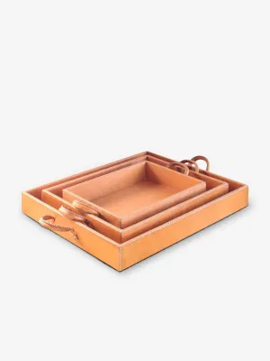 Nest of Three Leather Trays by Sol y Luna