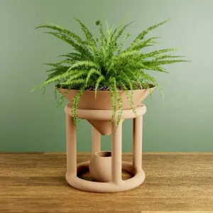 Odyssey Planter