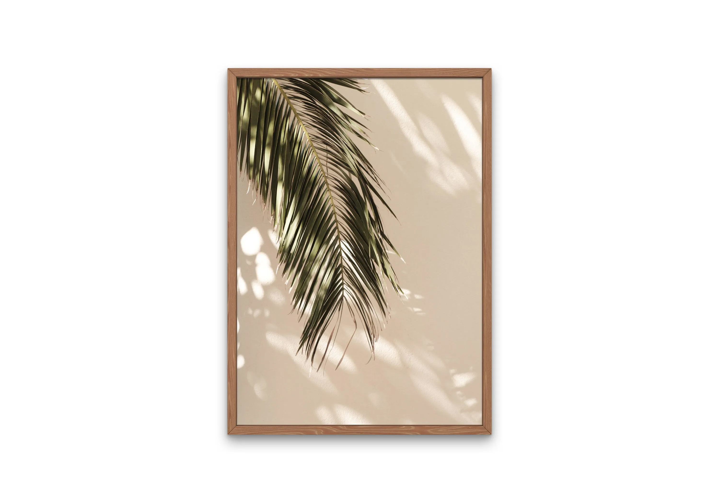Palm Tree Posters Set Of 2 PRINTABLE ART, Palm Tree Photo, Desert Poster, Palm Leaf Print, Banana Leaf, Boho Wall Decor