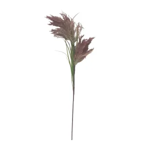 Pampus Grass 2F - Pink
