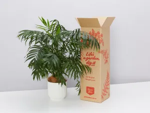 Pet-Friendly Eco ♻️ Potted Gift Box