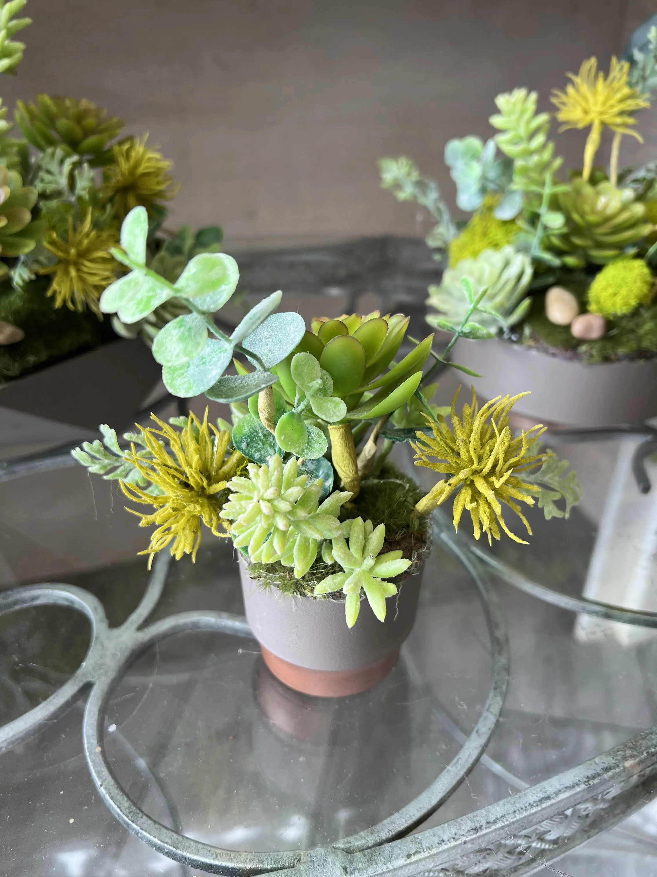 Set of 3 Succulent Planters