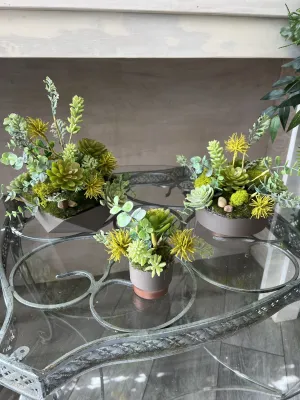 Set of 3 Succulent Planters