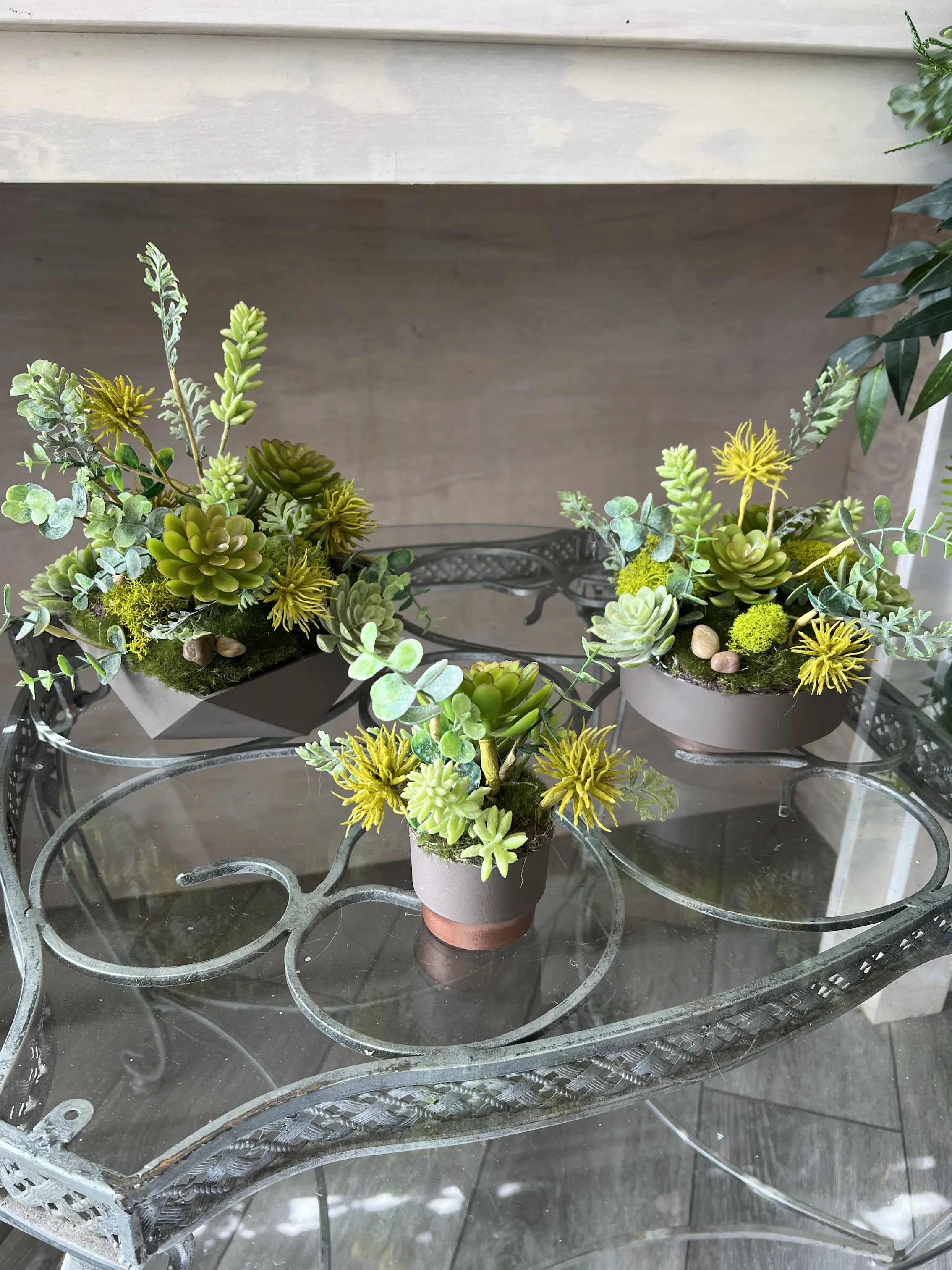 Set of 3 Succulent Planters