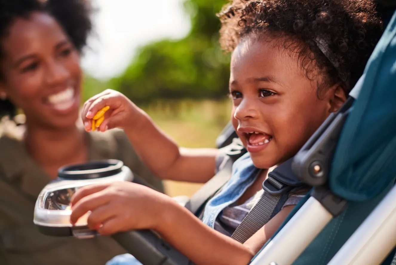 Snack Tray for Vista/Vista V2, Cruz/Cruz V2, RumbleSeat/RumbleSeat V2 by UPPAbaby