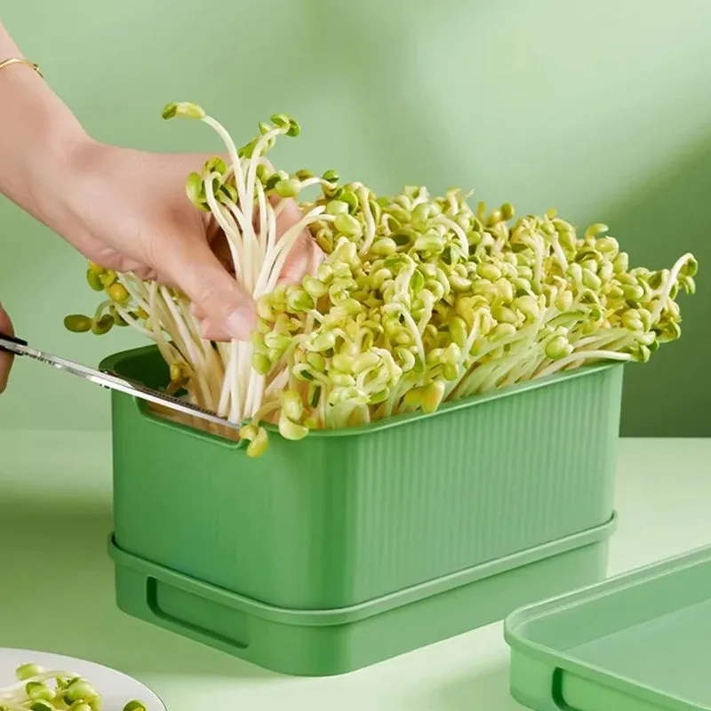 Stackable Bean Sprout Growing Box50% OFF