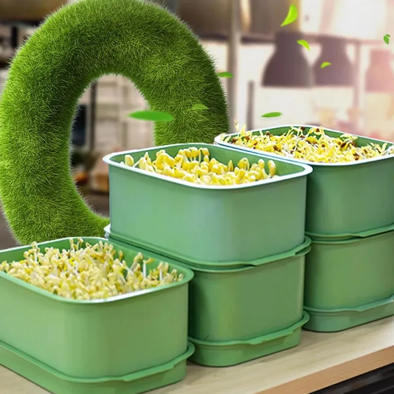 Stackable Bean Sprout Growing Box50% OFF