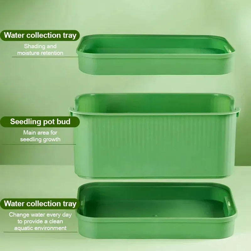 Stackable Bean Sprout Growing Box50% OFF
