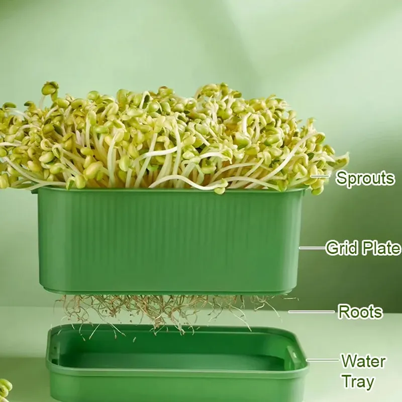 Stackable Bean Sprout Growing Box50% OFF
