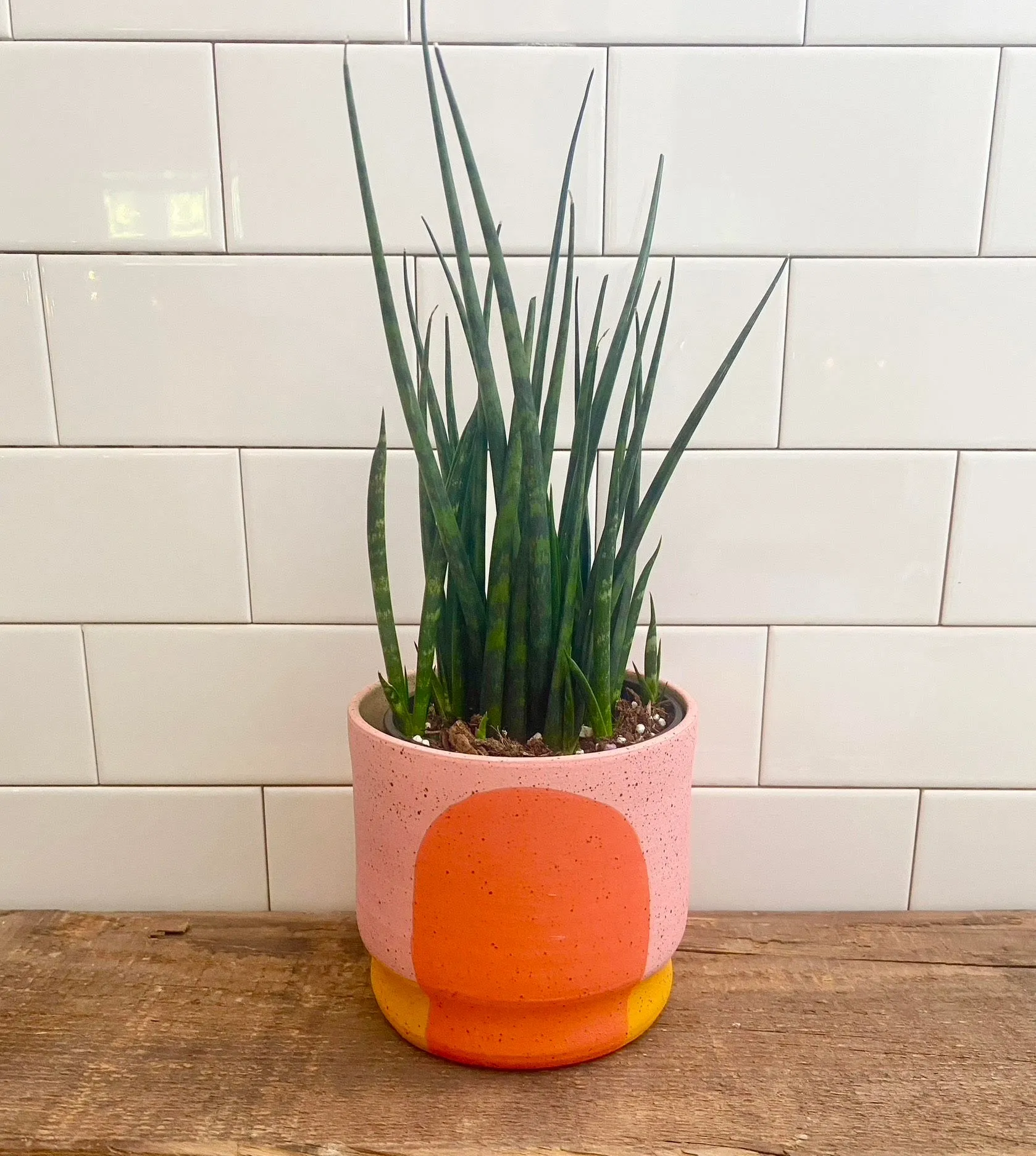 Stanley Chester & Albert Portal Planter