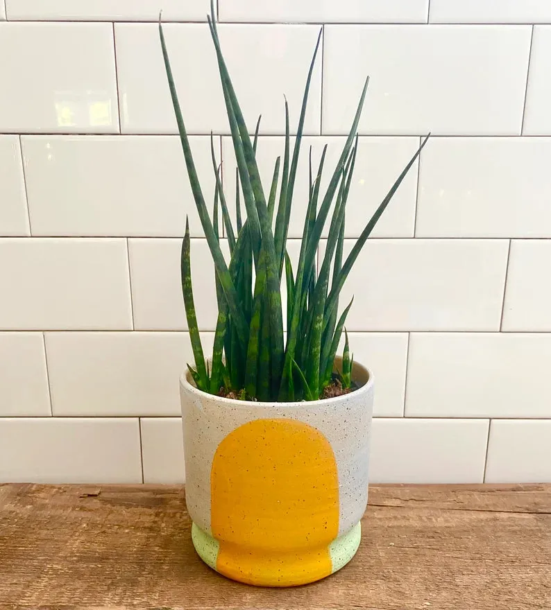 Stanley Chester & Albert Portal Planter