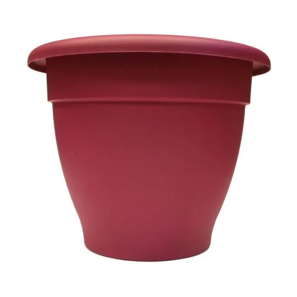 Stewarts Cherry Essential Plastic Planter