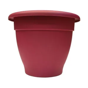 Stewarts Cherry Essential Plastic Planter