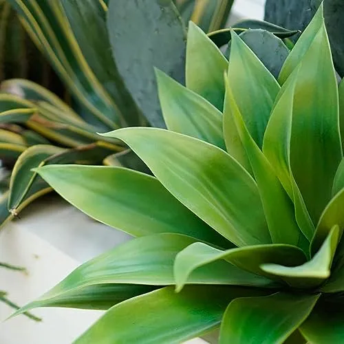 Velener Outdoor Agave Plant UV Resistant 28 Inch Color Green